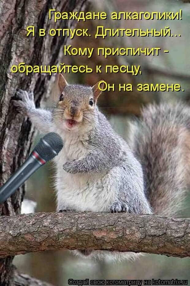 22 котоматрицы