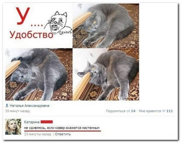 Смешные комментарии из социальных сетей 14.05.14  комментарии, прикол, соцсети