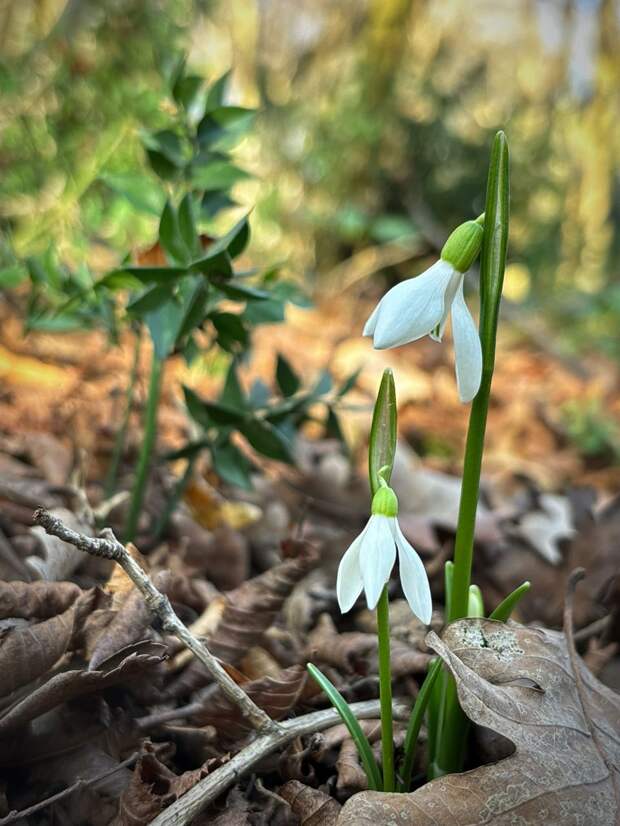 Природа России 104