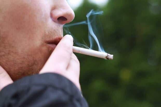 В Новой Зеландии хотят пожизненно запретить курить всем, кто родился после 2008 года
