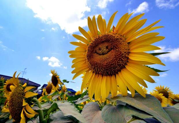 Фотоподборка за 12.08.2014 интересное, фото
