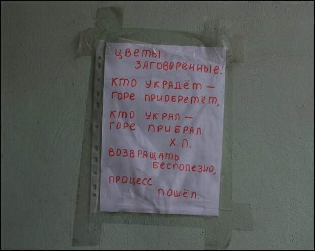 Прикольные надписи и объявления  надписи, объявления, юмор