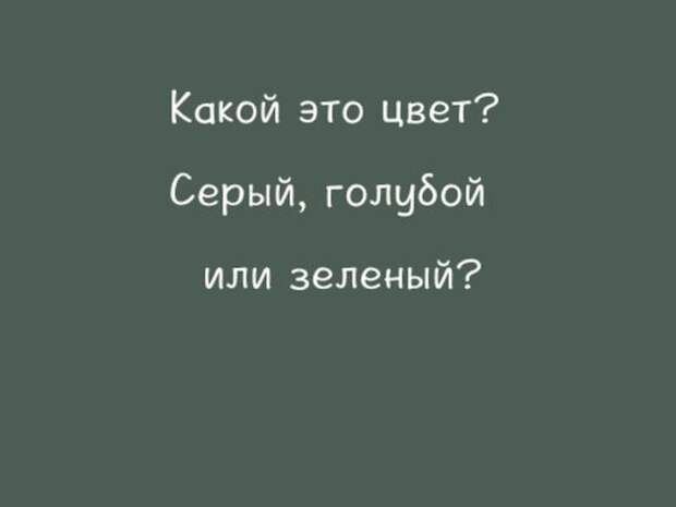 Серый или все-таки зеленый: тест определит ваш характер по тому, как вы различаете цвета
