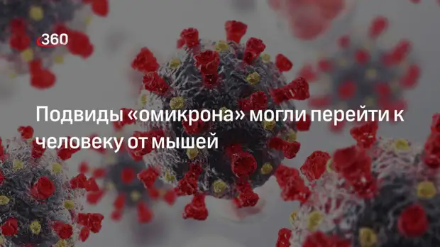 Вирусолог Семенов: подвиды «омикрона» ВА.1 и ВА2 могли появиться у мышей