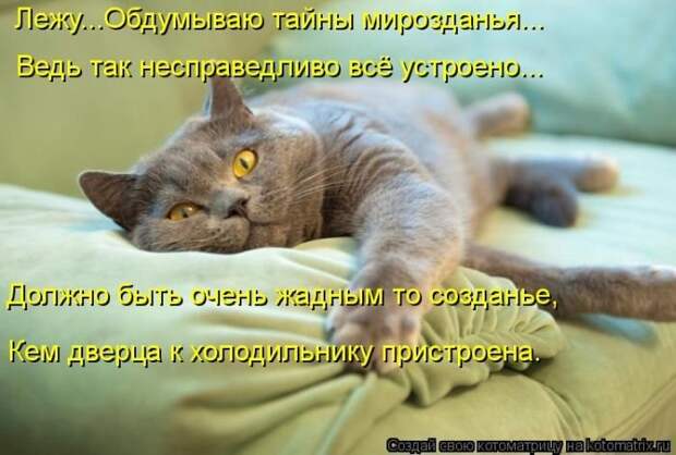 Новые котоматрицы за неделю