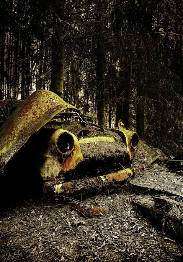 Eerie Images Of Abandoned Cars In Leafy Graveyard