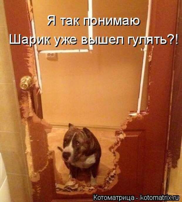 Приколы и позитив
