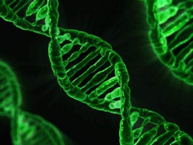Ремонт ДНК своими руками руководство для клеток