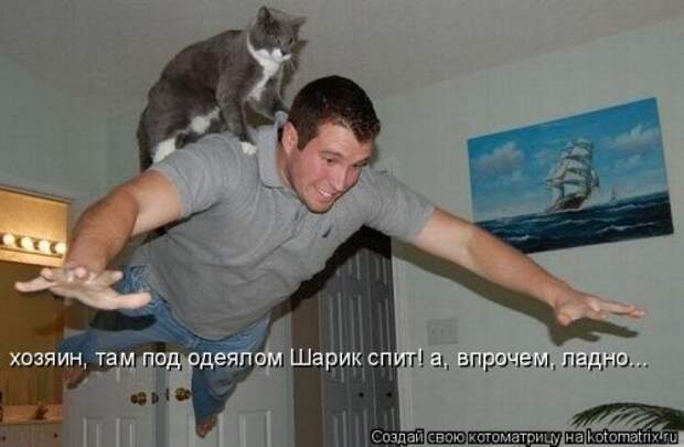 Котоматрица на Бугаге (34 фото)