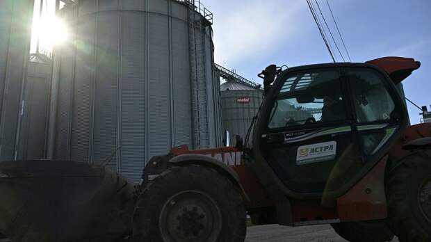Офис генпрокурора: большую часть зерна вывозят с Украины нелегально