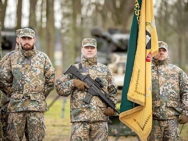 Delfi: Латвия отправит своих военных на Украину
