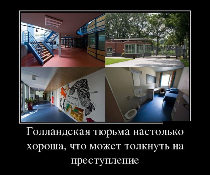 Демотиваторы (30 фото)