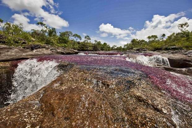 Радужная река в Колумбии (30 фото)