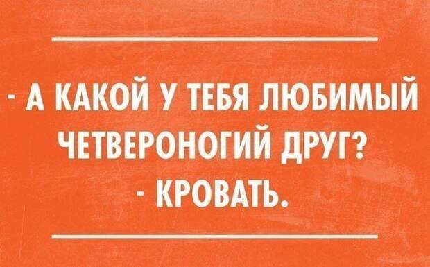В точку!