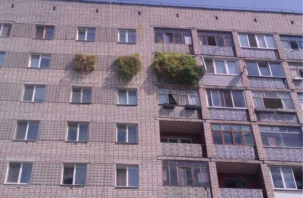 Эти люди без грядок жить не могут Эти люди без грядок жить не могут девушки, животные, прикол, юмор