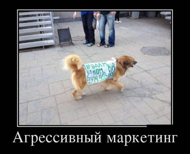 Демотиваторы (30 фото)
