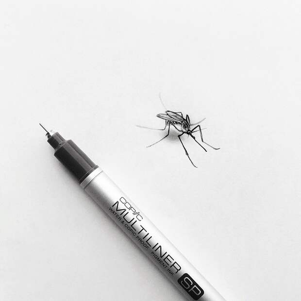 Необычайно реалистичные рисунки шариковой ручкой