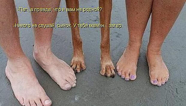 2f881ad65faade7ebff18797d4b_prev