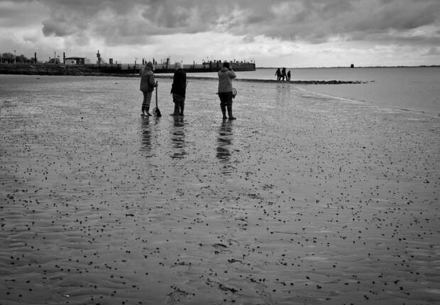 Wadden Sea