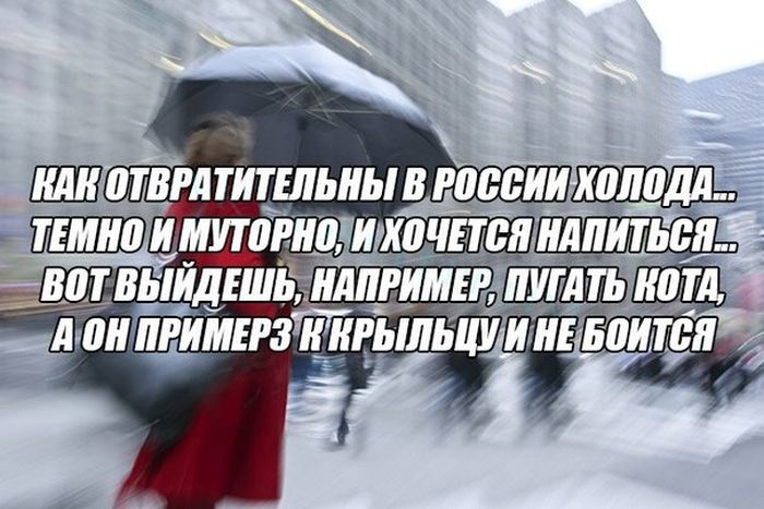 Картинки со смешными подписями картинки, прикол, юмор