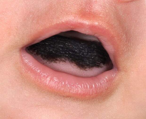 bizzarefood07 10 необычных  продуктов питания