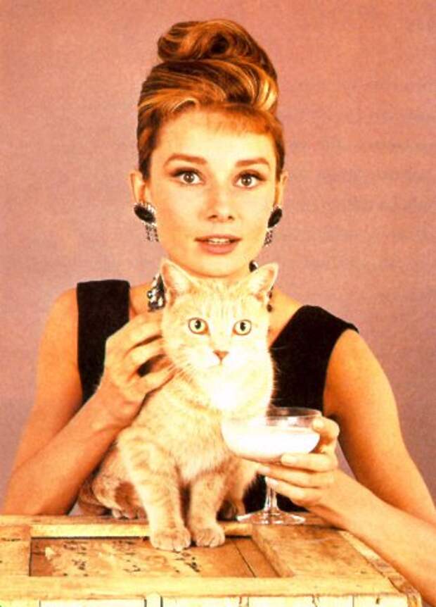 Одри Хепберн и Кот. Фото / Audrey Hepburn and Cat Rhubarb. Photo 