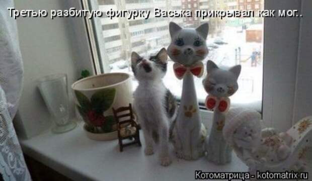 Котоматрица недели (31 фото)