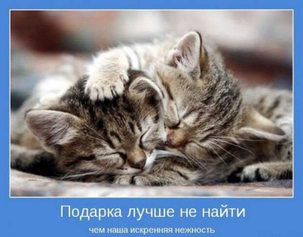 Картинки серьезные темы мотиваторы.