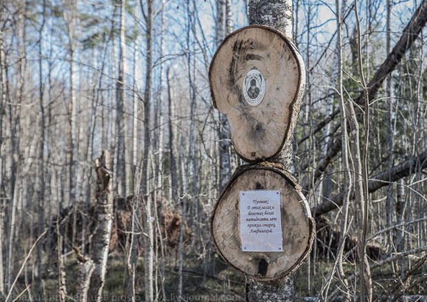 Затерянный мир