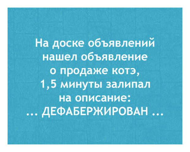 Доза позитива в прикольных картинках (49 шт)