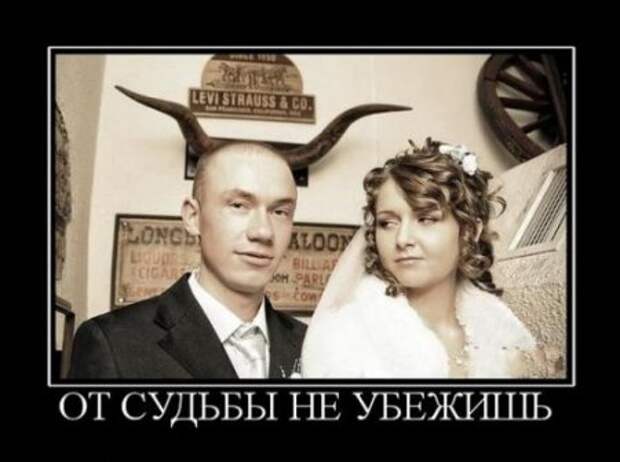 Веселые демотиваторы у нас каждый день!