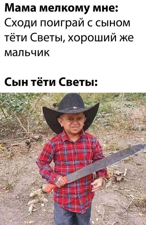Шутка про сына тёти Светы