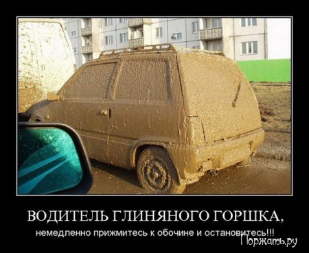 Димативаторы, новые прикольны 25 фото