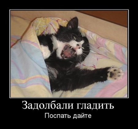 Демотиваторы от которых у тебя поднимется не только настроение. И плевать, что это неправда…
