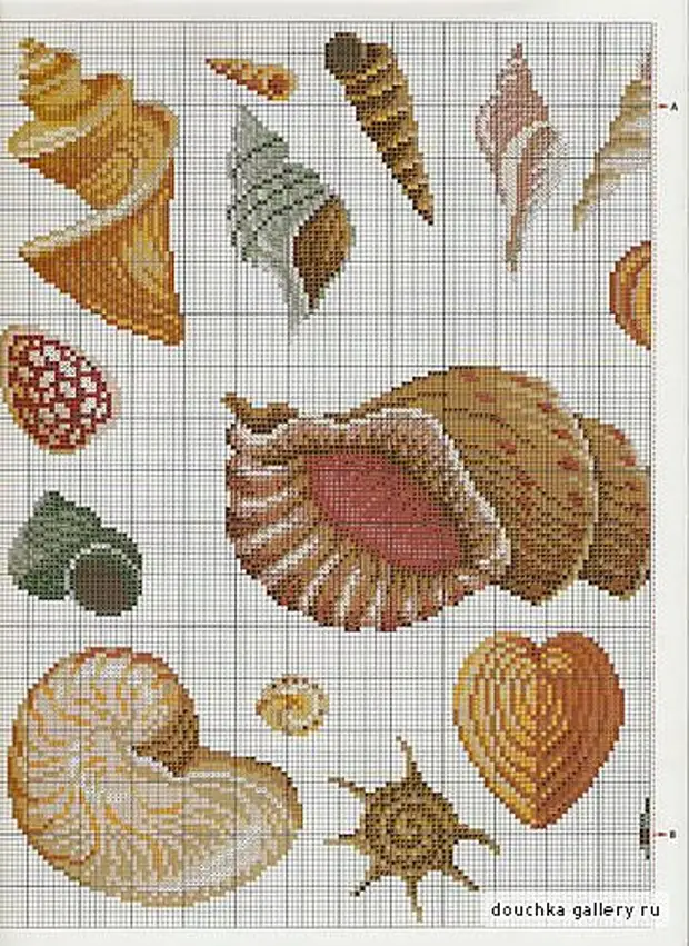 Схемы ракушек. Вышивка ракушки. Вышивка морская Ракушка. Вышивка крестом ракушки. Вышивка крестом морские ракушки.