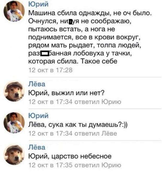 Дорожные фотоприколы!