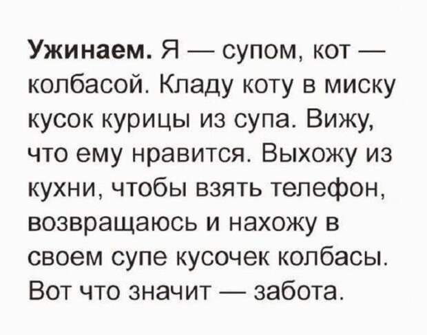 15 искрометных и очень жизненных шуток для прекрасного настроения!