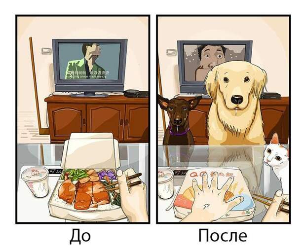 Жизнь до и после появления собаки, жизнь с собакой и без, Меймай Джон, Maimai John