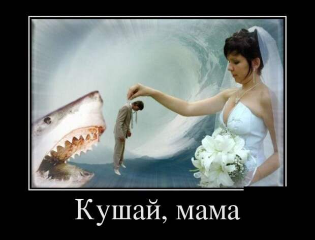 Демотиваторы №1179 (30 фото)