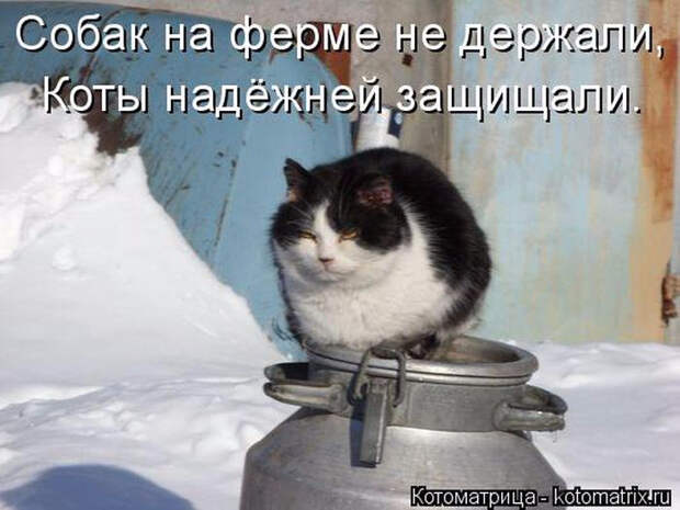 1429823373_28 (700x525, 254Kb)