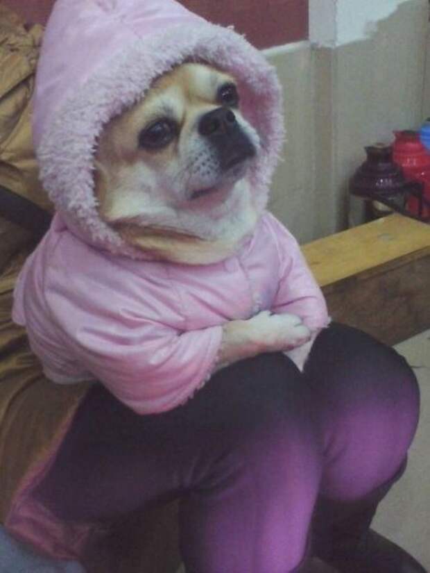 Забавные фотоиллюзии