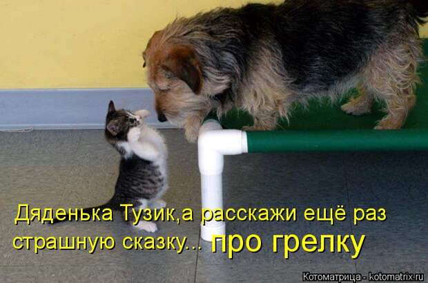 Котоматрица: Дяденька Тузик,а расскажи ещё раз страшную сказку... про грелку