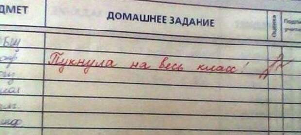 Юмор из школьных дневников (15 фото)