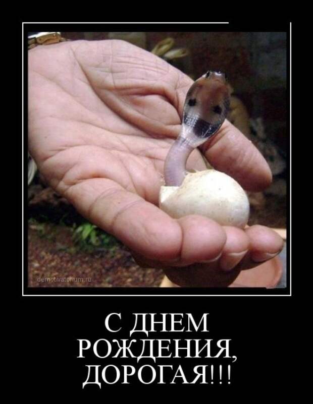 Демотиваторы демотиваторы, прикол, смех, юмор