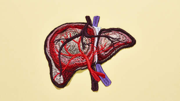 Инфекционист: гепатит С передаётся через кровь