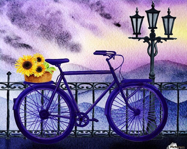 Bicycle And Sunflowers (636x508, 430Kb)