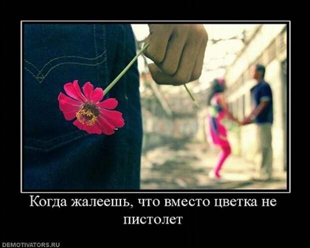 Веселые демотиваторы на утро (11 фото)