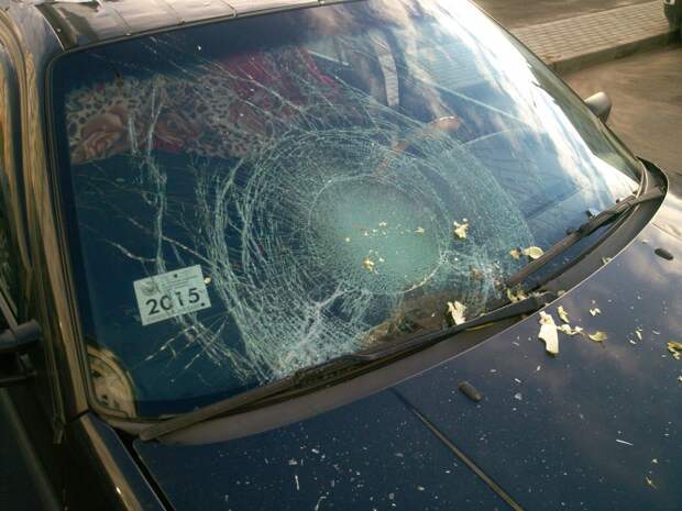 На припаркованный автомобиль сбросили два кочана капусты автоместь, вандализм