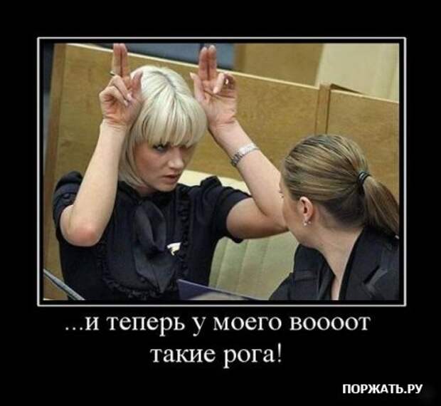 Демативаторы (21 фото)