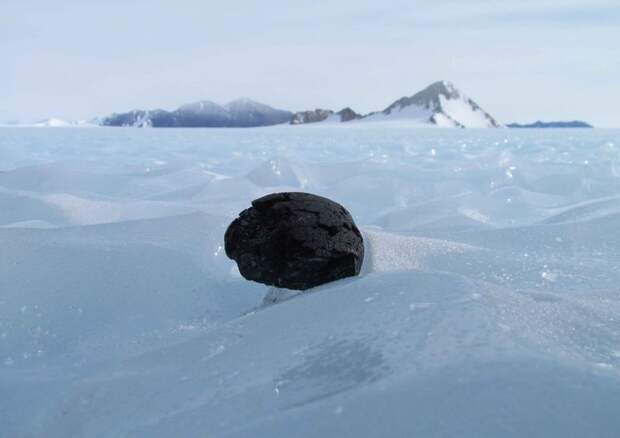 10 интересных фактов об Антарктиде